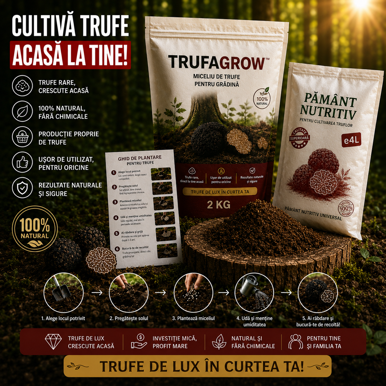 Miceliu de Trufe pentru Grădină - TrufaGrow™