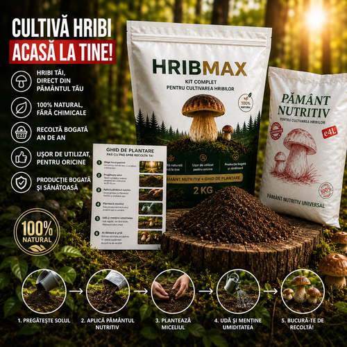 Miceliu de Hrib pentru Grădină – HribMax™
